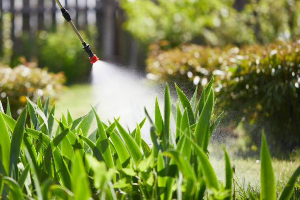 24/7 Emergency Termite Control experts in Willits, CA