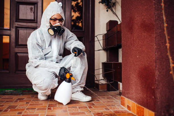 Reliable Termite Control contractor in Willits, CA by Nex Pest Control