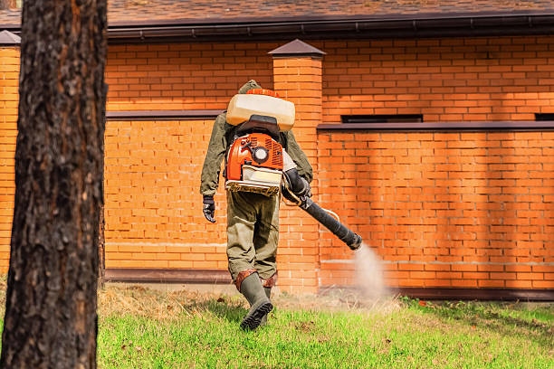 Trusted Wildlife Pest Control service in Willits, CA - Nex Pest Control